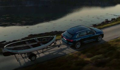 Audi Mobility Check